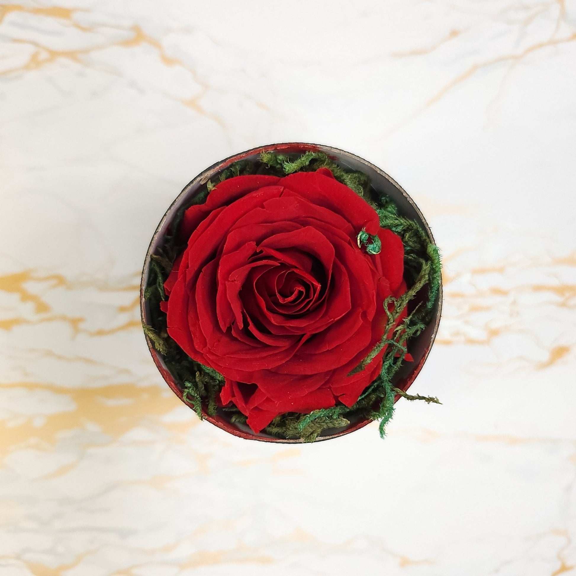 Saint Valentine Gift - Our Lady of Gifts